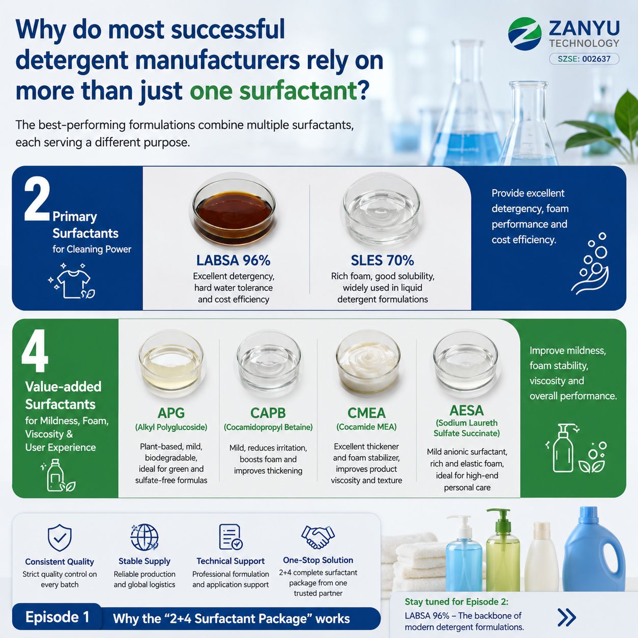 Detergent surfactant system — primary and supporting surfactants working together in a 2 + 4 formulation package